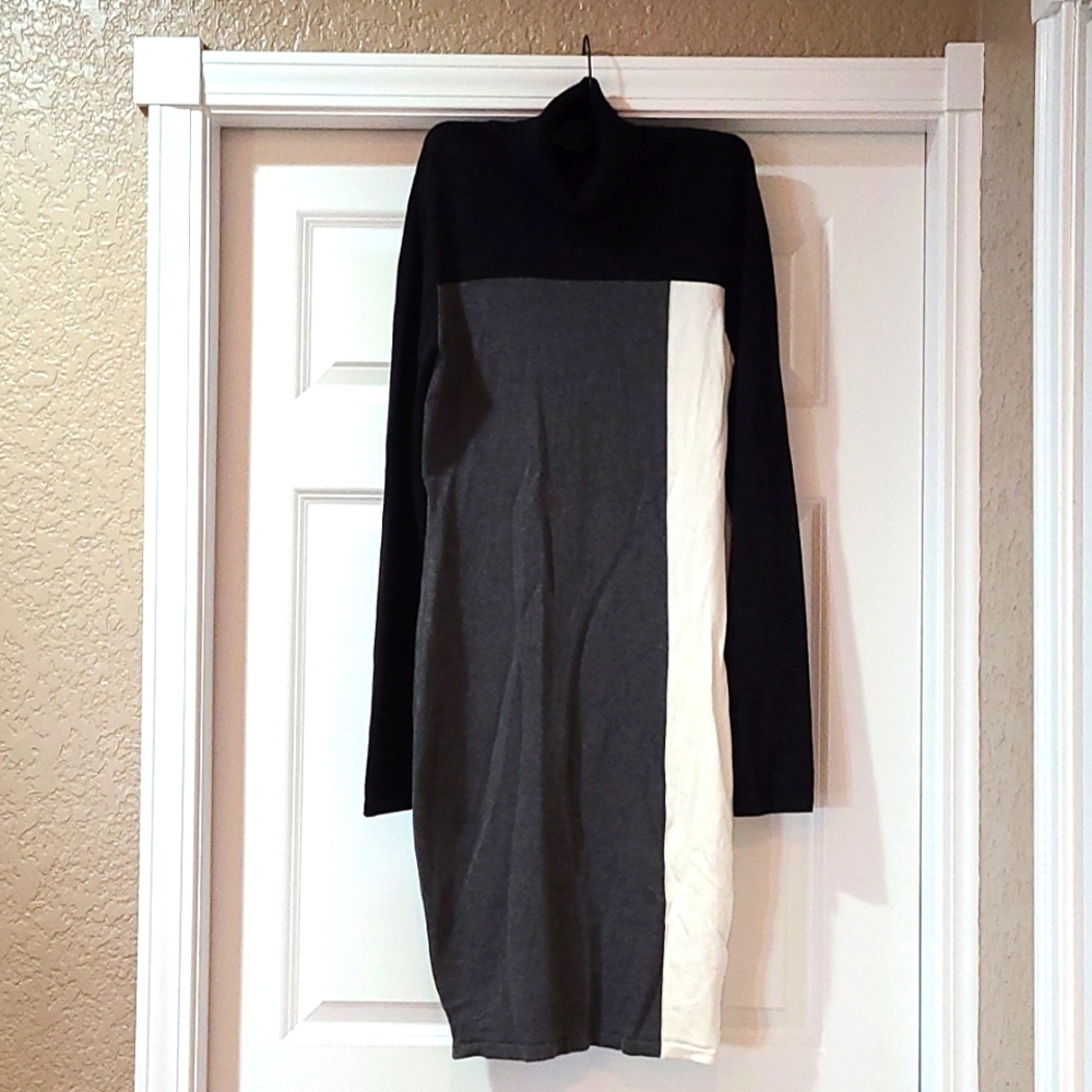 Women's long sleeve, turtleneck sweater dress